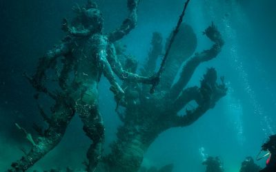 Hirst e Treasure from the Wreck of the Unbelievable: tra Verità e Menzogna